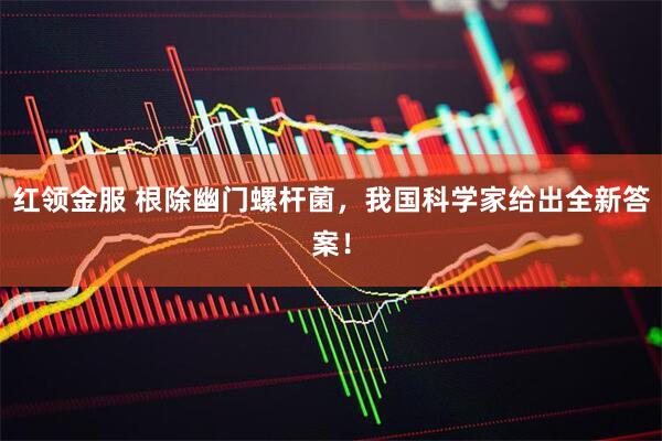 红领金服 根除幽门螺杆菌，我国科学家给出全新答案！