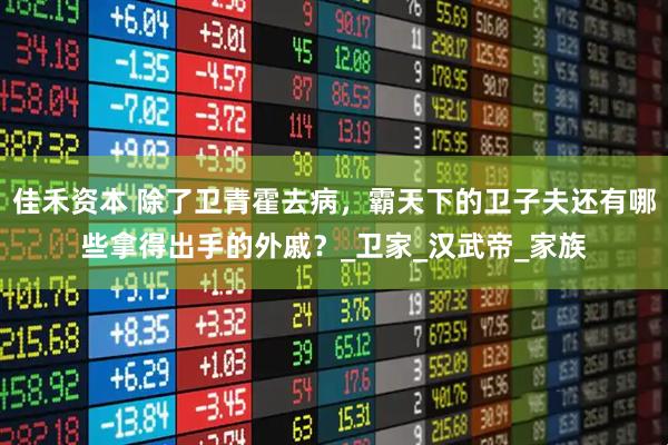 佳禾资本 除了卫青霍去病，霸天下的卫子夫还有哪些拿得出手的外戚？_卫家_汉武帝_家族