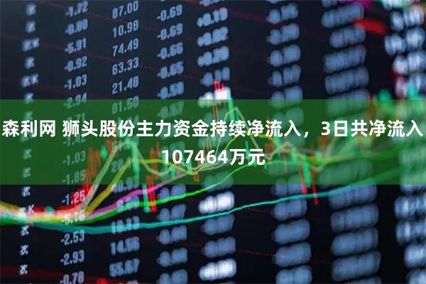 森利网 狮头股份主力资金持续净流入，3日共净流入107464万元